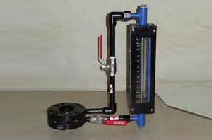 By Pass Rotameter