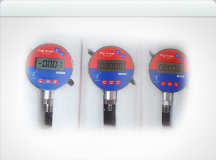Digital Temperature Gauges 